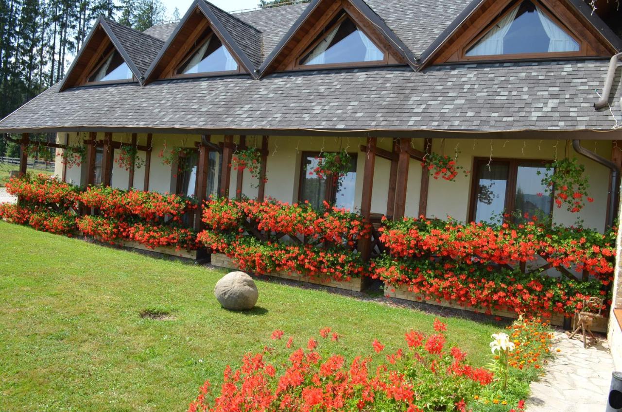 Pensiunea Inima Bucovinei Frasin Exterior foto